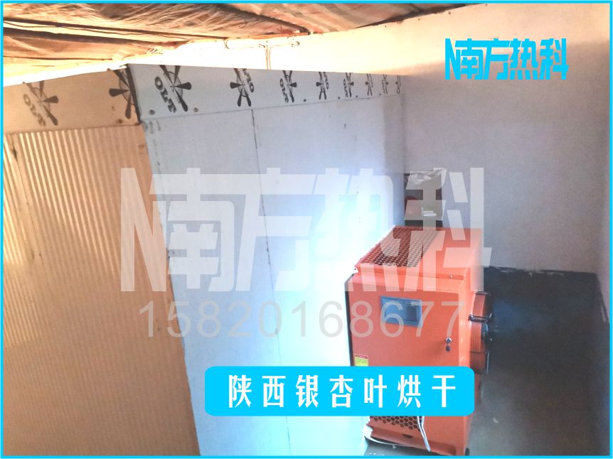 陜西銀杏葉烘干